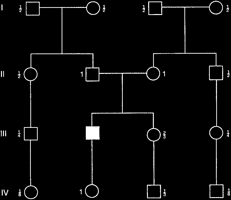 Pedigree showing carrier probabilities in extended family