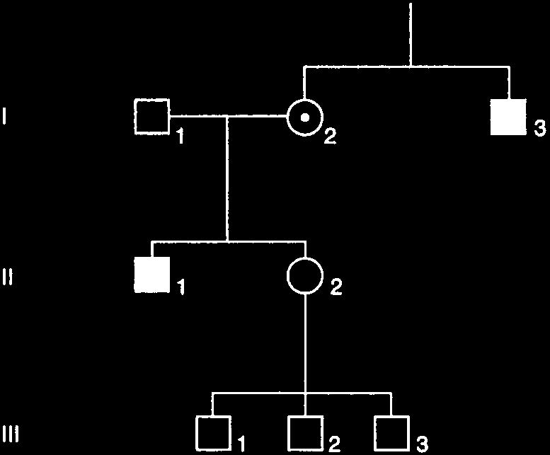 Pedigree example