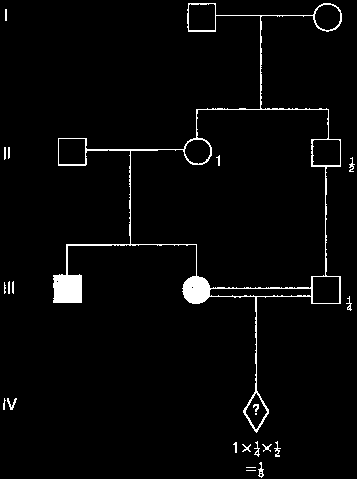 Digenic inheritance with different loci