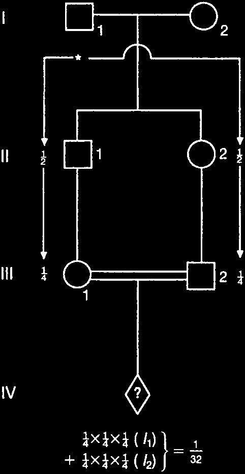 Pedigree for consanguinity risk calculation