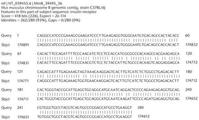 BLAST results showing sequence alignment between rat and mouse insulin receptor genes