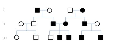 Common pedigree symbols