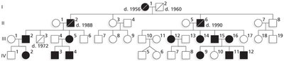 Autosomal recessive inheritance pedigree