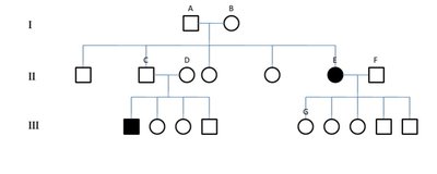 Pedigree for albinism (recessive trait)