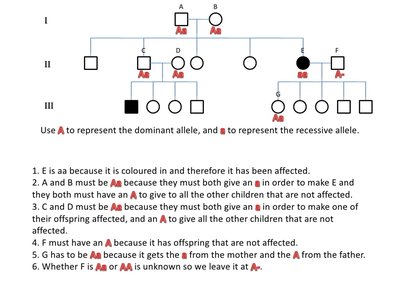 Pedigree for tongue rolling (dominant trait)