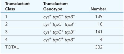 Crossover analysis of cotransduction data