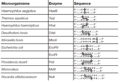 Restriction enzyme table