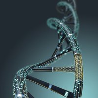 DNA double helix structure