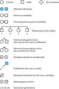 Pedigree conventions and symbols