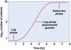 Bacterial growth curve showing lag, log, and stationary phases