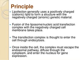 Principle of lipofection for transfection