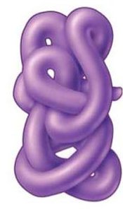 DNA double helix