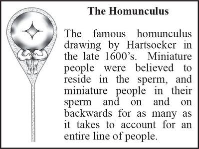 Homunculus drawing and explanation