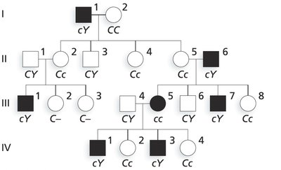 Pedigree for X-linked recessive inheritance