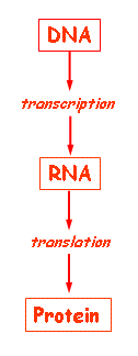 Summary table of gene regulation types