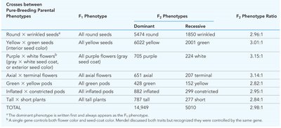 Segregation of alleles for seed color