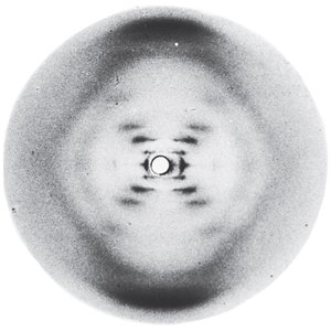 X-ray diffraction image of DNA