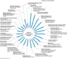 Human chromosome set with disease loci