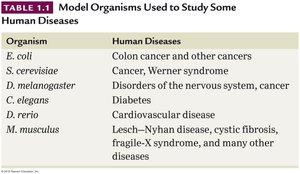 Table of model organisms and diseases