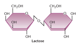 Lactose molecule structure