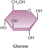 Glucose molecule structure