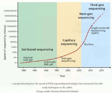 DNA sequencing workflow