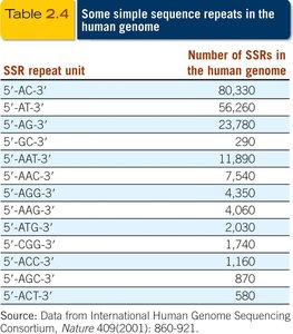 Table of SSR repeat units in the human genome