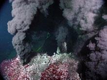 Hydrothermal vent (source of Taq polymerase)