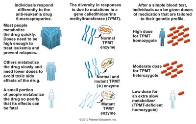 Pharmacogenomics: genetic variation and drug response