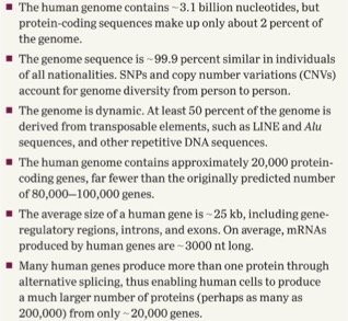 Summary of human genome features