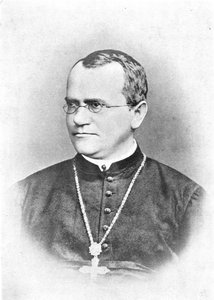Portrait of Gregor Mendel (face blurred)