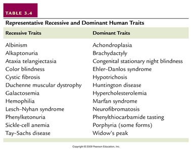 Pedigree chart example