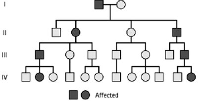 A sample pedigree chart showing affected and unaffected individuals across generations