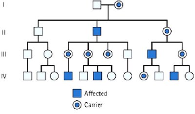 Pedigree showing X-linked recessive inheritance (color blindness)