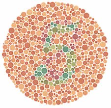 Colorblindness in a Newfoundland pedigree