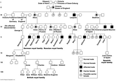 Photo of Tsar Nicholas II's family, affected by hemophilia