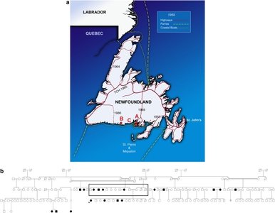 Map and pedigree of Newfoundland family with autosomal recessive hearing loss