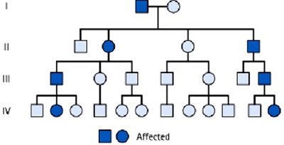 Pedigree showing autosomal dominant inheritance pattern