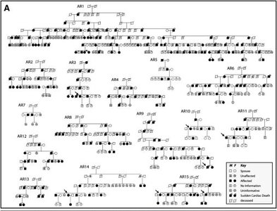 Large pedigree showing autosomal dominant inheritance in Newfoundland families