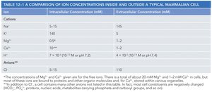 Table of ion concentrations inside and outside a typical mammalian cell