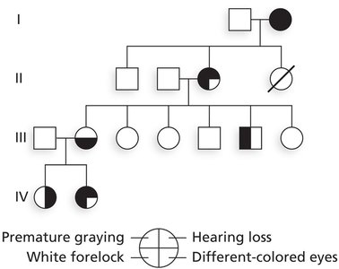 Pedigree showing Waardenburg syndrome with variable expressivity