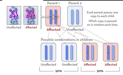 Autosomal Dominance: 2 affected parents