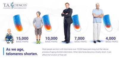 Diagram showing telomere shortening with age