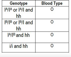 Bombay phenotype genotypes and blood types