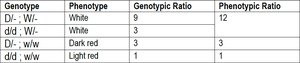 Dominant epistasis table for squash color