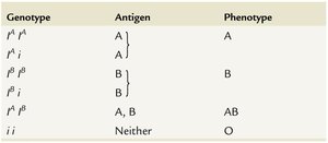 Table of ABO genotypes, antigens, and phenotypes