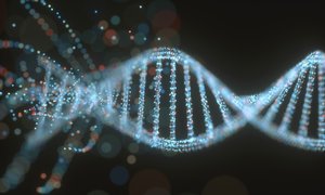 DNA double helix representation