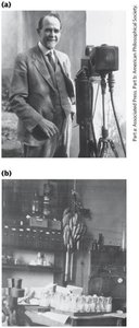 Morgan and the Fly Room