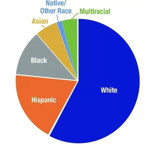 US Census Data 2020 pie chart