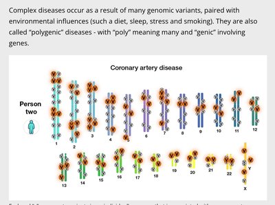 Polygenic variants in coronary artery disease